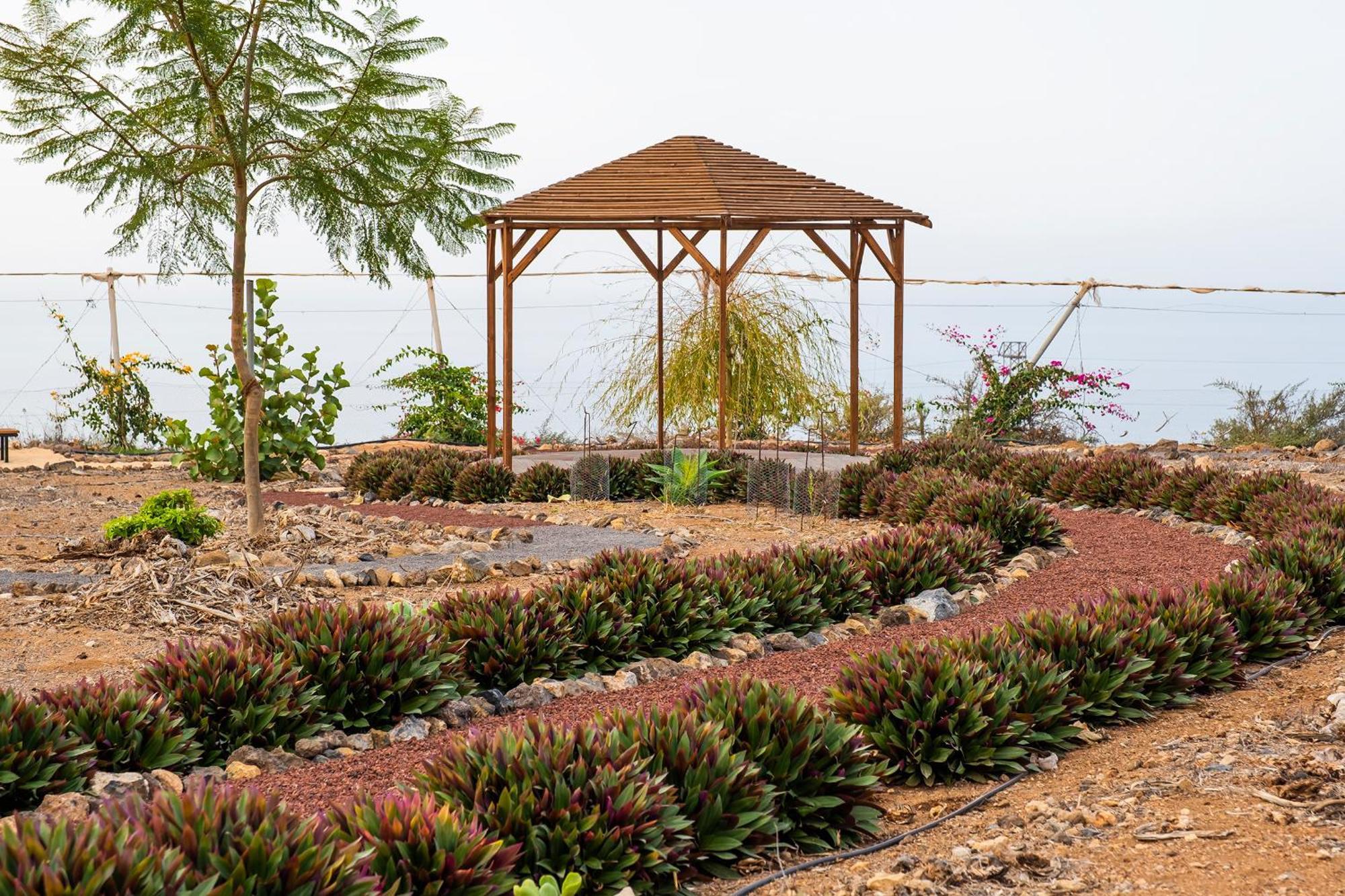 Tenerife Healing Garden Guía de Isora Exterior foto