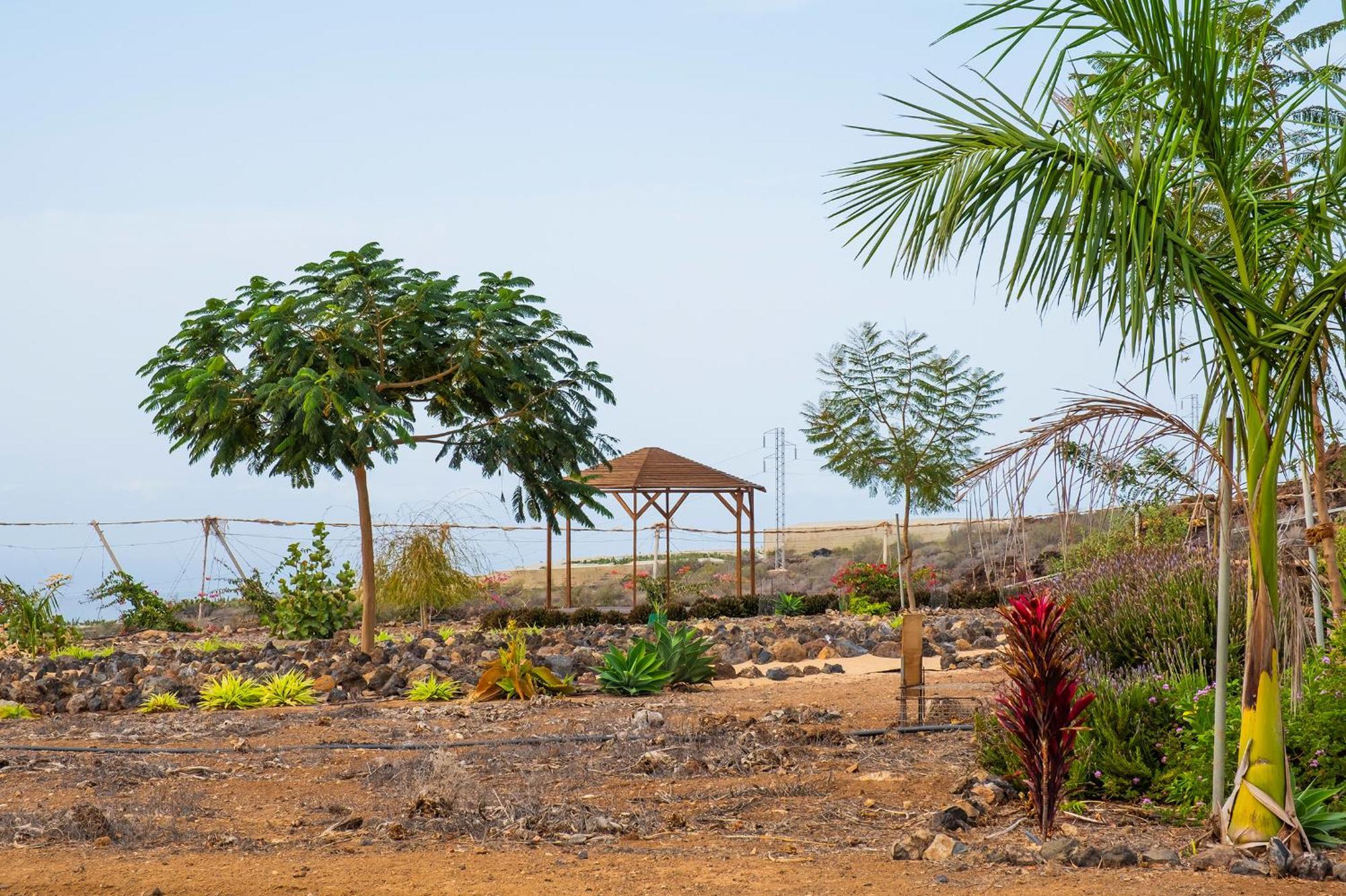 Tenerife Healing Garden Guía de Isora Exterior foto